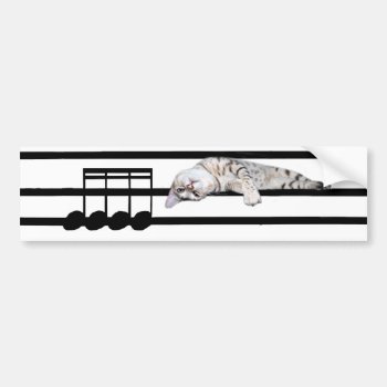 Musical Bengal Cat Bumper Sticker by deemac1 at Zazzle