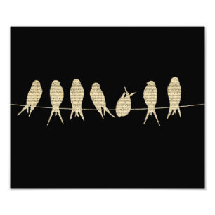 Musical Birds Photo Print