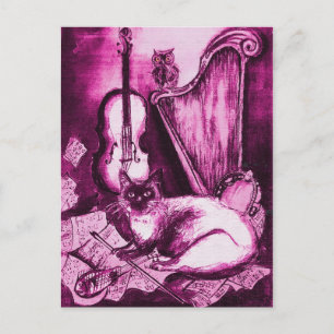MUSICAL CAT AND OWL ,Pink Violet and White Postcard