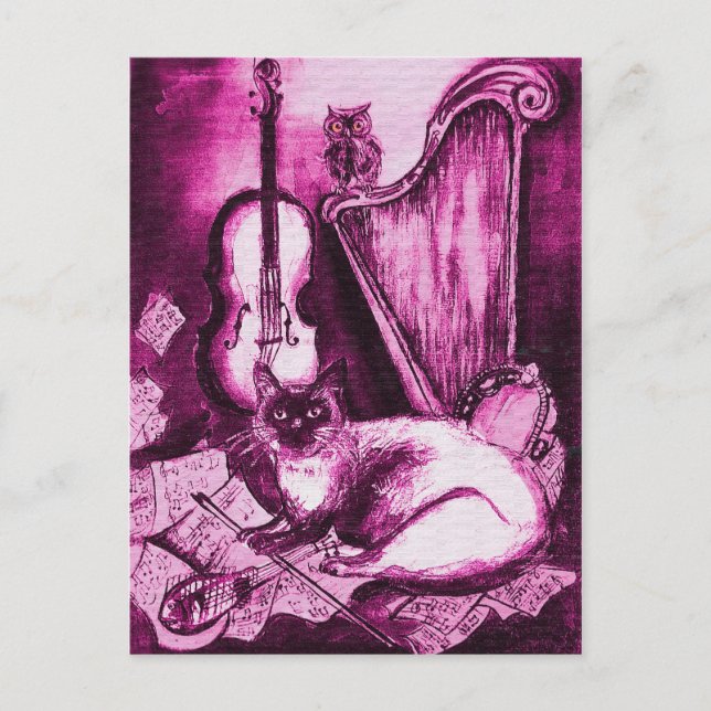 MUSICAL CAT ,Pink Violet and White Postcard (Front)