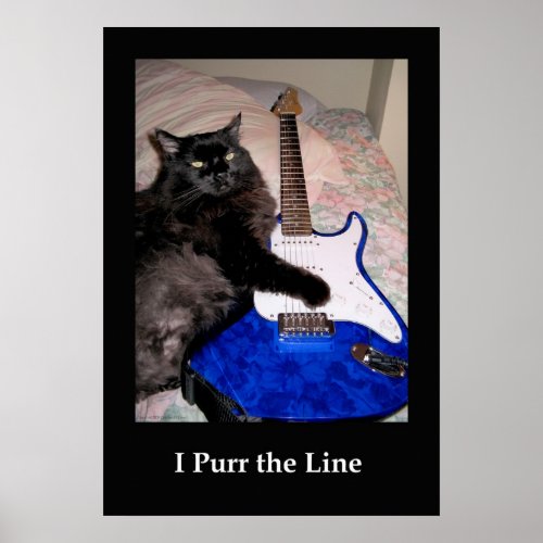 Musical Cat Poster