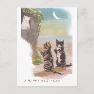 Musical Cats Play for Kitty Vintage New Year Holiday Postcard