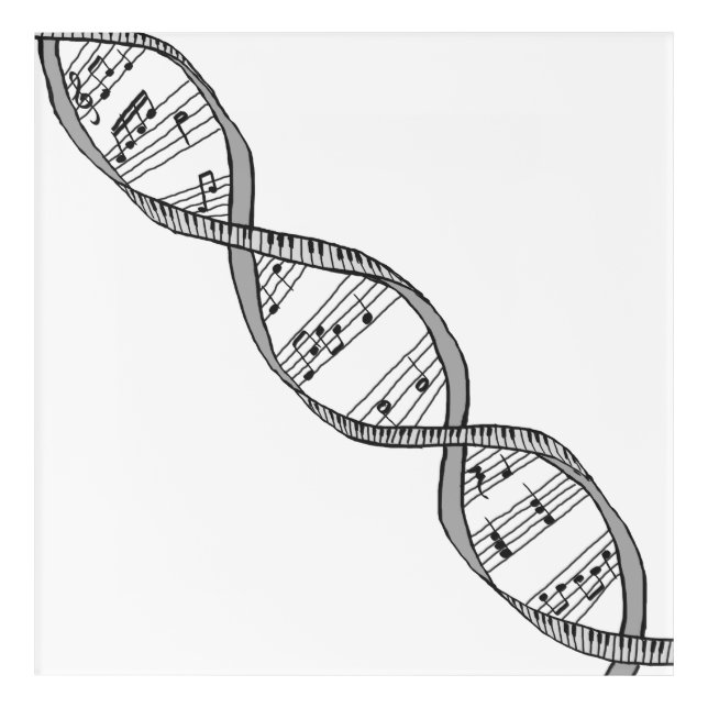 Musical DNA Acrylic Print (Front)