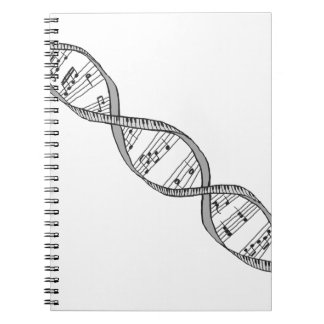 Musical DNA Notebook