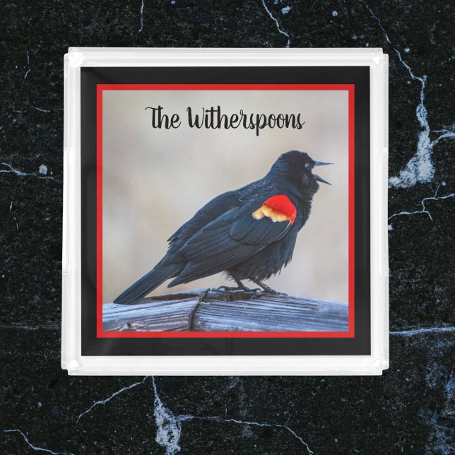 Musical Redwing Blackbird in a Marsh Acrylic Tray (Creator Uploaded)