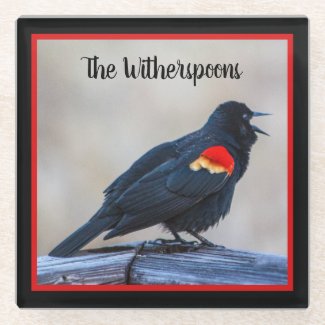 Musical Redwing Blackbird in a Marsh