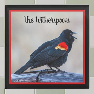 Musical Redwing Blackbird in a Marsh