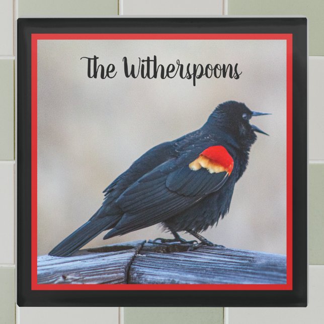 Musical Redwing Blackbird in a Marsh Glass Coaster (Creator Uploaded)
