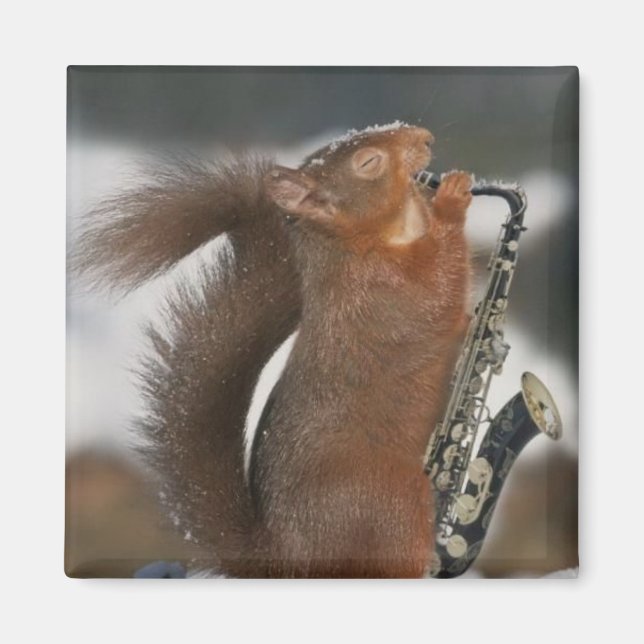 Musical Squirrel Magnet (Front)