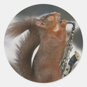 Musical Squirrel Sticker