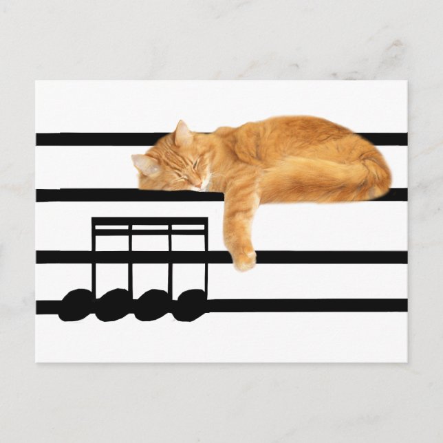 Musical tabby kitty cat postcard (Front)