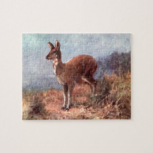 Musk Deer by CE Swan Vintage Wild Animals Jigsaw Puzzle