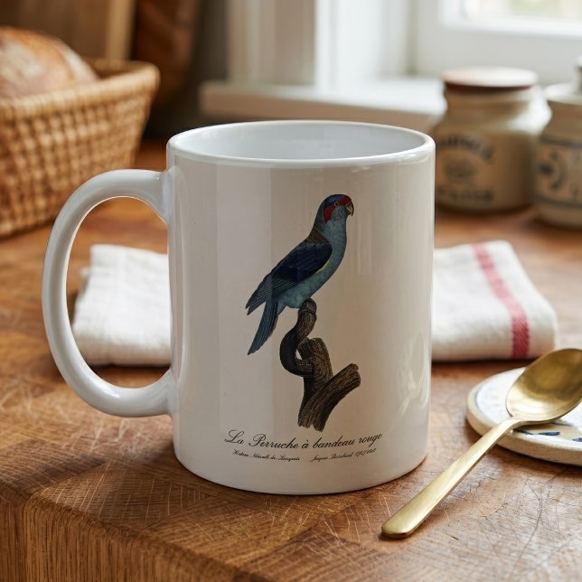 Musk Lorikeet, Trichoglossus Concinnus Coffee Mug (Musk Lorikeet, Trichoglossus Concinnus. Coffee Mug)