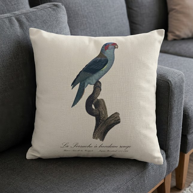 Musk Lorikeet, Trichoglossus Concinnus Throw Pillow (Musk Lorikeet, Trichoglossus Concinnus. Throw Pillow)