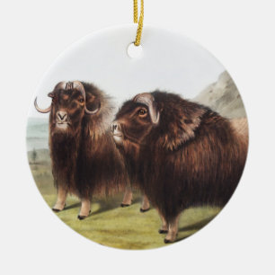 Musk Ox (Ovibos moschatus) Illustration Ceramic Ornament