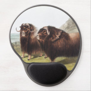 Musk Ox (Ovibos moschatus) Illustration Gel Mouse Pad