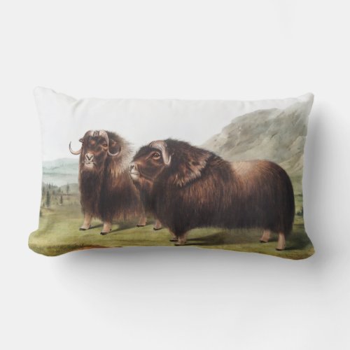 Musk Ox Ovibos moschatus Illustration Lumbar Pillow