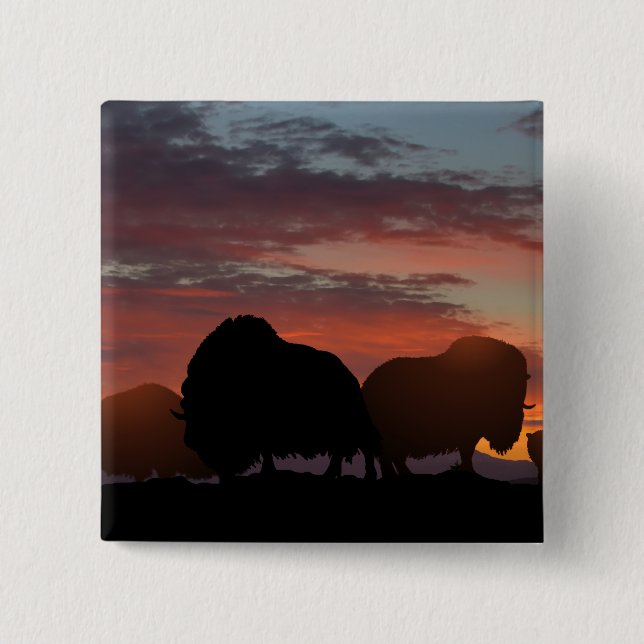 Musk Ox Pinback Button (Front)