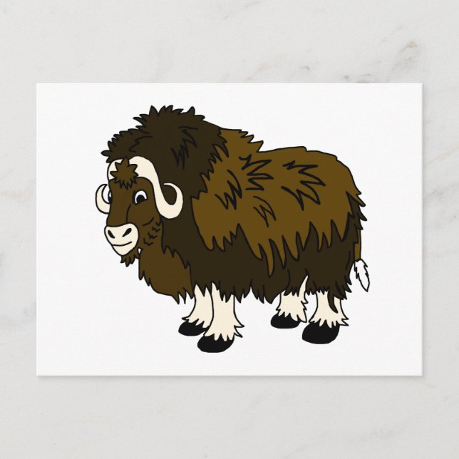 Musk Ox Postcard (Front)
