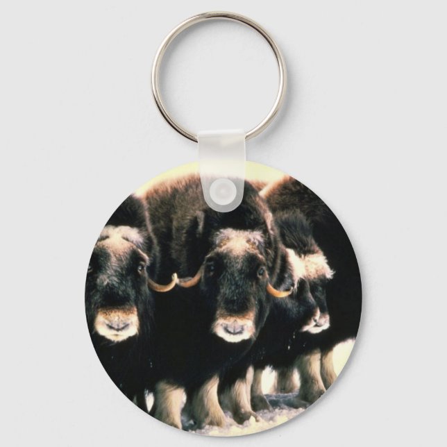 Musk Oxen Keychain (Front)