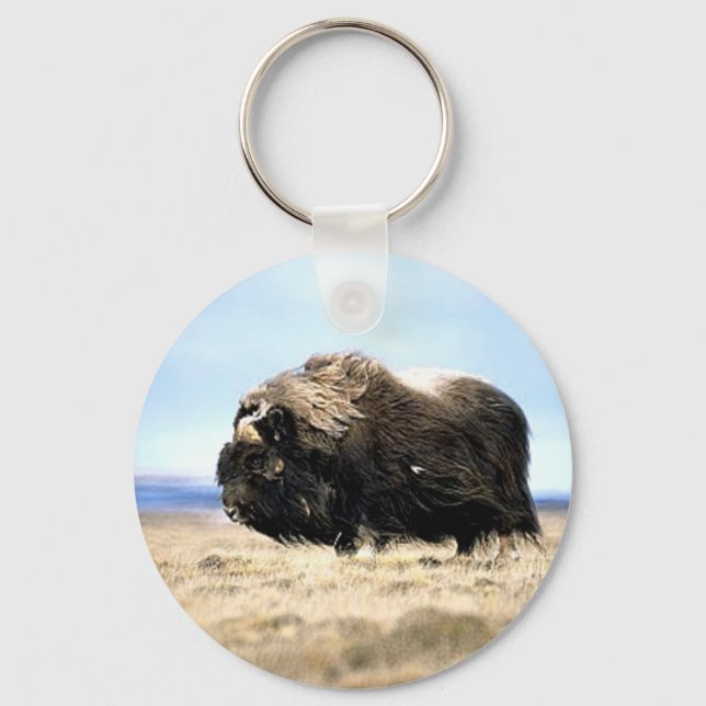 Musk Oxen Keychain (Front)