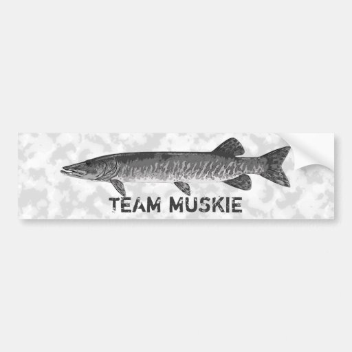 Muskie fishing logo bumper sticker | Zazzle