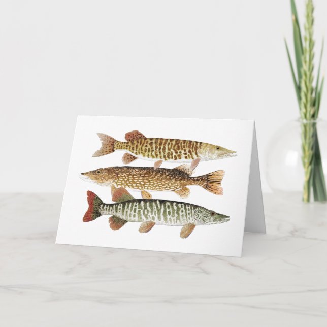 Muskie,Pike & Tiger Card (Front)
