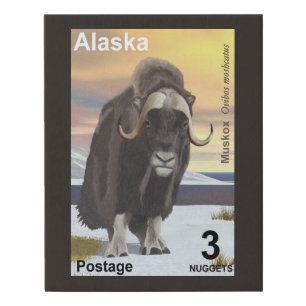 Muskox - Alaska Postage Faux Canvas Print