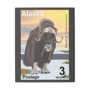 Muskox - Alaska Postage Metal Print
