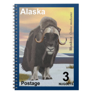 Muskox Notebook