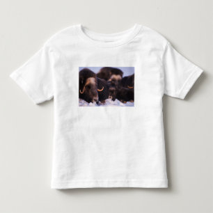 muskox, Ovibos moschatus, cow with newborn, Toddler T-shirt