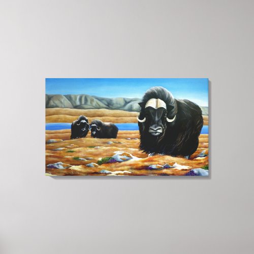 Muskox Painting Canadian Wildlife Canvas Print