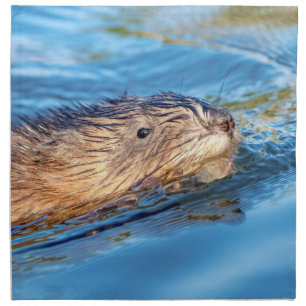 Muskrat at Vassar Farms Ecological Preserve Napkin