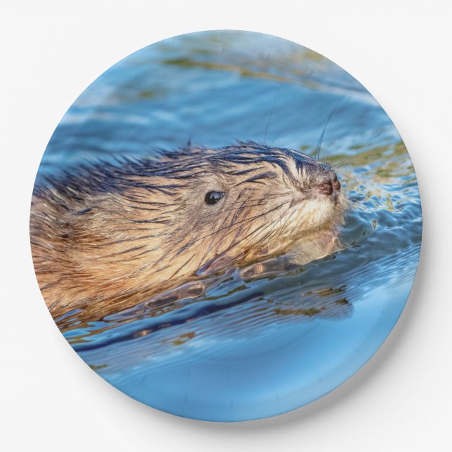 Muskrat at Vassar Farms Ecological Preserve Paper Plates (Front)