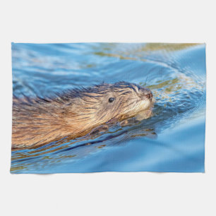 Muskrat at Vassar Farms Ecological Preserve Towel