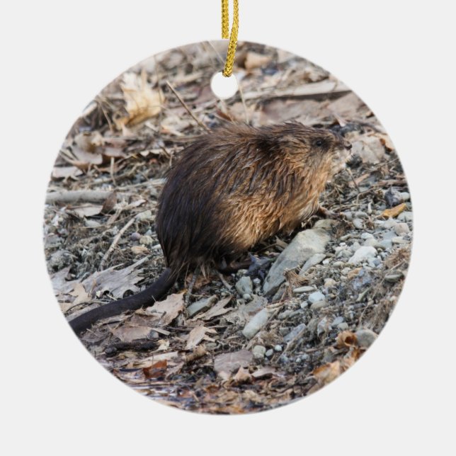 Muskrat Ceramic Ornament (Front)