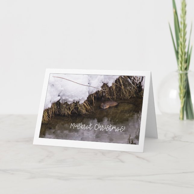 Muskrat Christmas Quirky Holiday Card (Front)