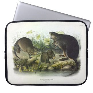 Muskrat from Audubon's Quadrupeds of North America Laptop Sleeve