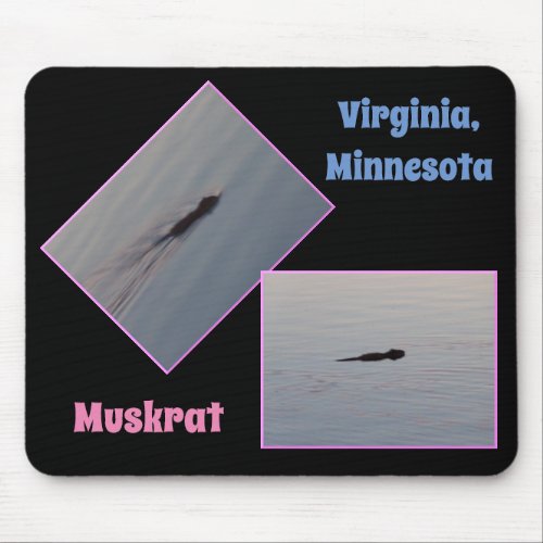 Muskrat in Minnesota Mousepad