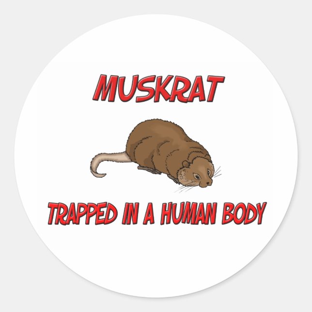 Muskrat trapped in a human body classic round sticker (Front)