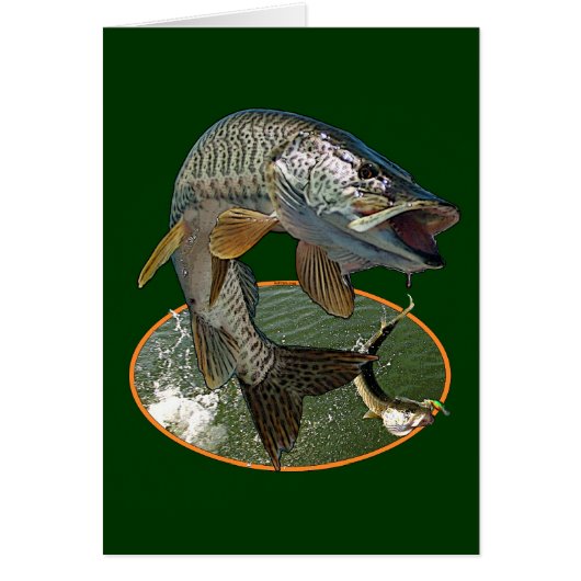 Musky 6 cards (Front)