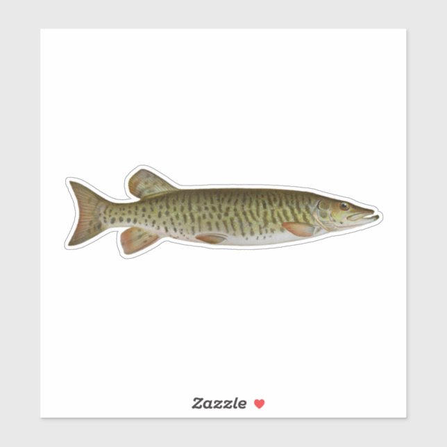 Musky - Freshwater Fishing Sticker (Sheet)