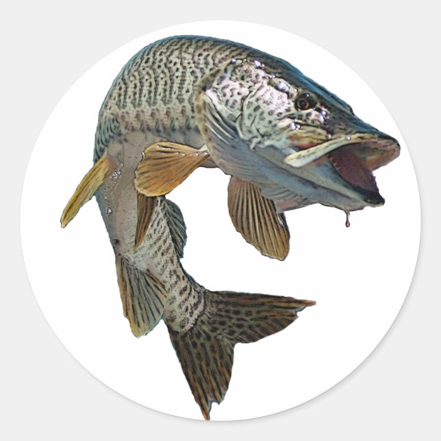 Musky hunter 7 classic round sticker (Front)