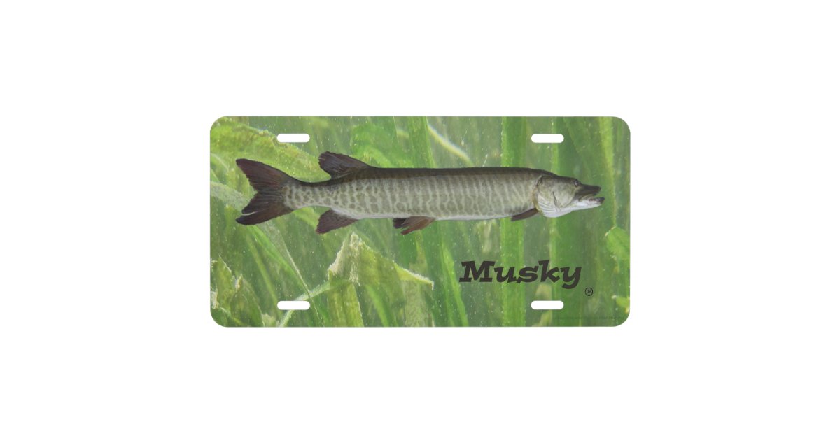 Musky License Plate Zazzle