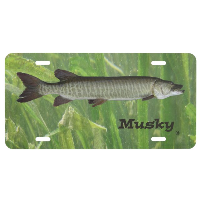 Musky License Plate (Front)