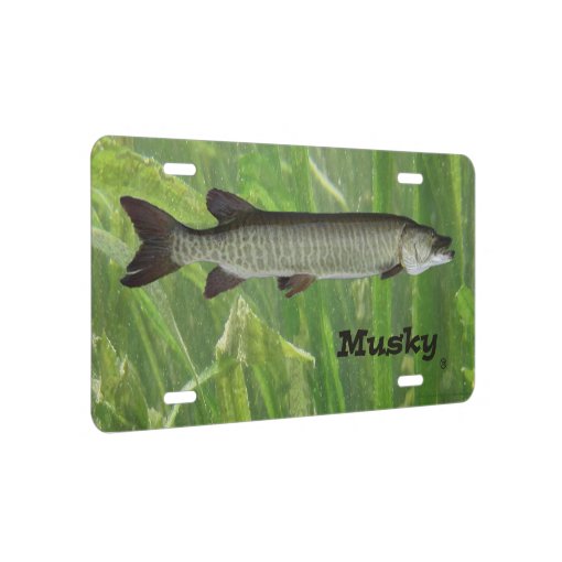 Musky License Plate Zazzle