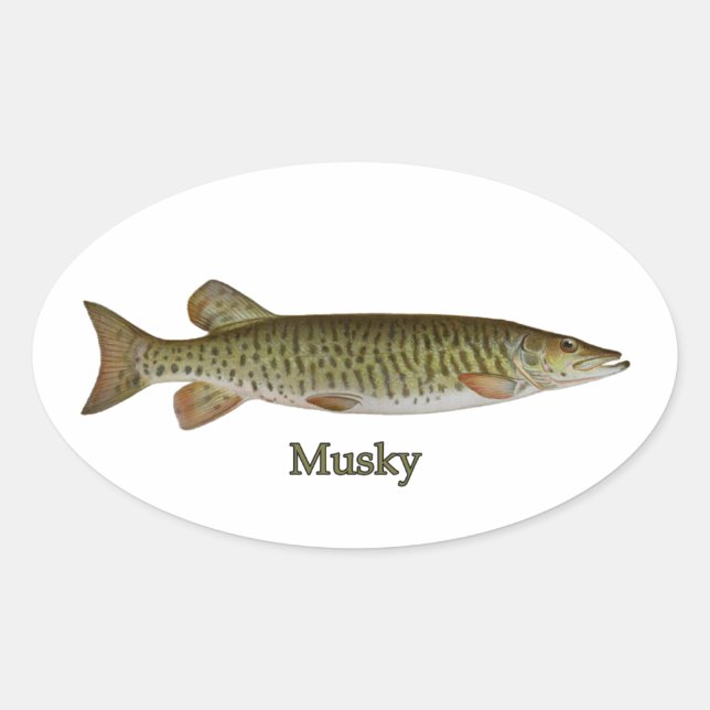 Musky (muskellunge) oval sticker (Front)