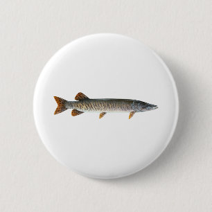 Musky - Muskellunge Pinback Button