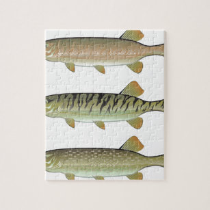 Pike Fishing Jigsaw Puzzles for Sale