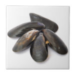 Mussel Ceramic Tile<br><div class="desc">Mussel</div>